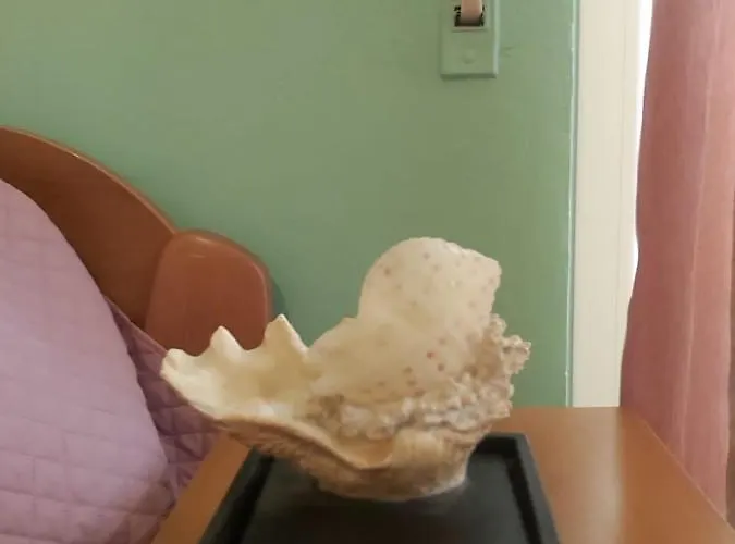 Apartman Sea La Vie *